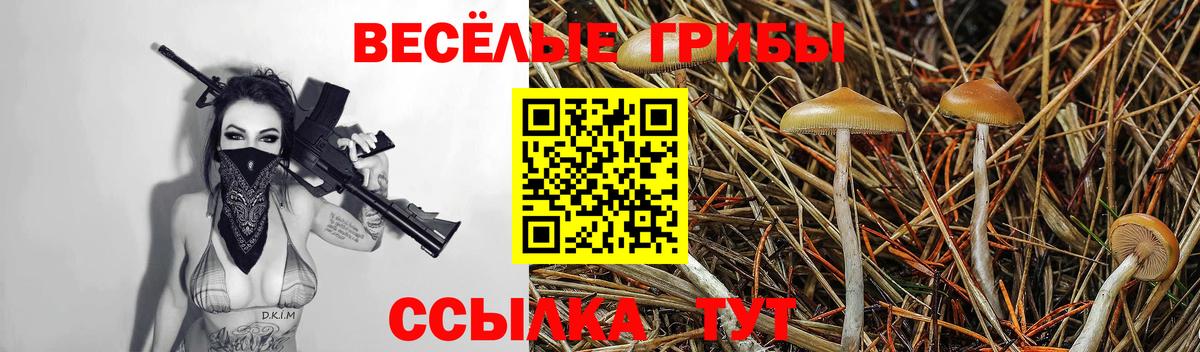 Псилоцибиновые грибы прущие грибы  Галлюциногенные грибы ЛСД  Богданович  Вход с VPN 